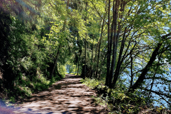 Sun shining on path, on Hertz trail on the southeast end of Whatcom Lake in Washington state.