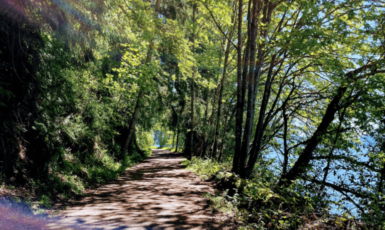 Sun shining on path, on Hertz trail on the southeast end of Whatcom Lake in Washington state.